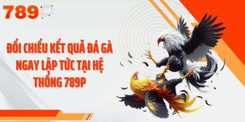 Đối chiếu kết quả đá gà ngay lập tức tại hệ thống 789P